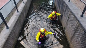 Drie baby-eendjes zorgen voor inzet hulpdiensten aan Wheemplein