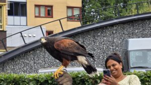 Roofvogelshow zorgt voor indrukwekkende middag bij Woonzorgcentrum De Pol