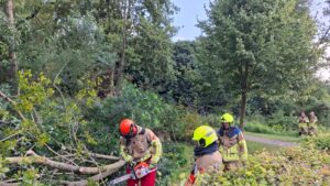 Boom omgevallen in Stadspark Nijkerk, brandweer ruimt boom op